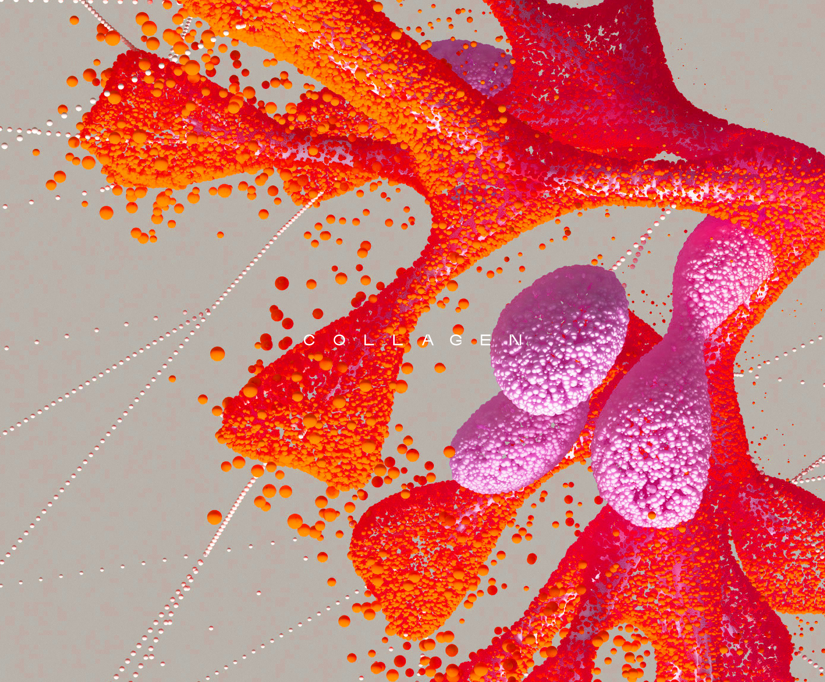 What is Collagen and Why Take a Collagen Supplement?