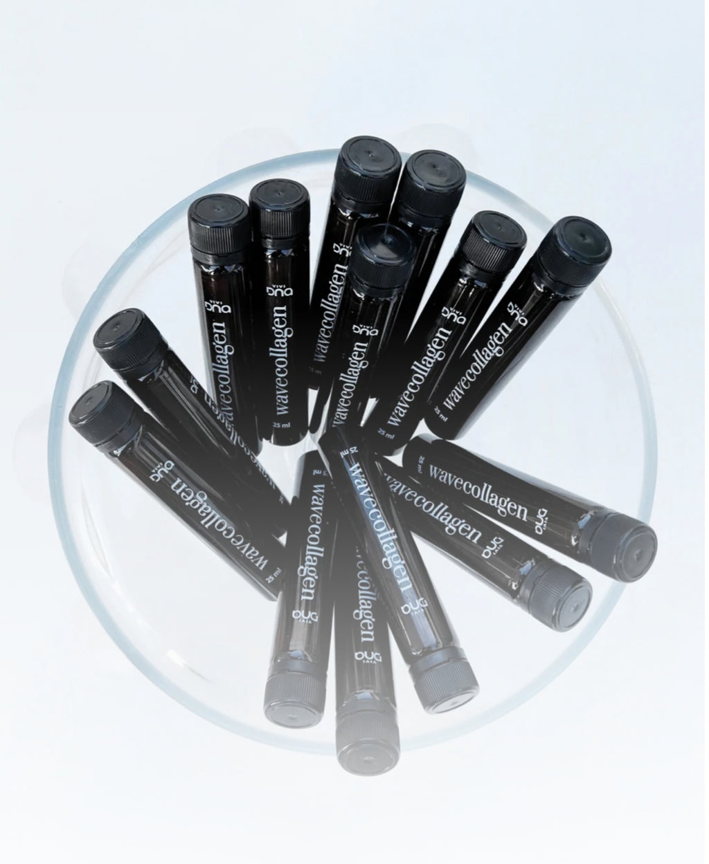 Winter Beauty ELITE