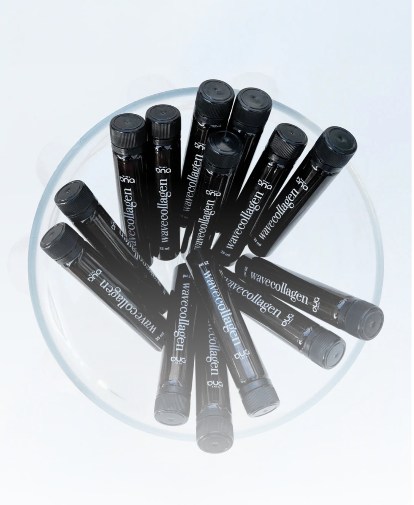 Winter Beauty ELITE